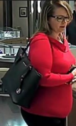 South Carolina credit card fraud suspect